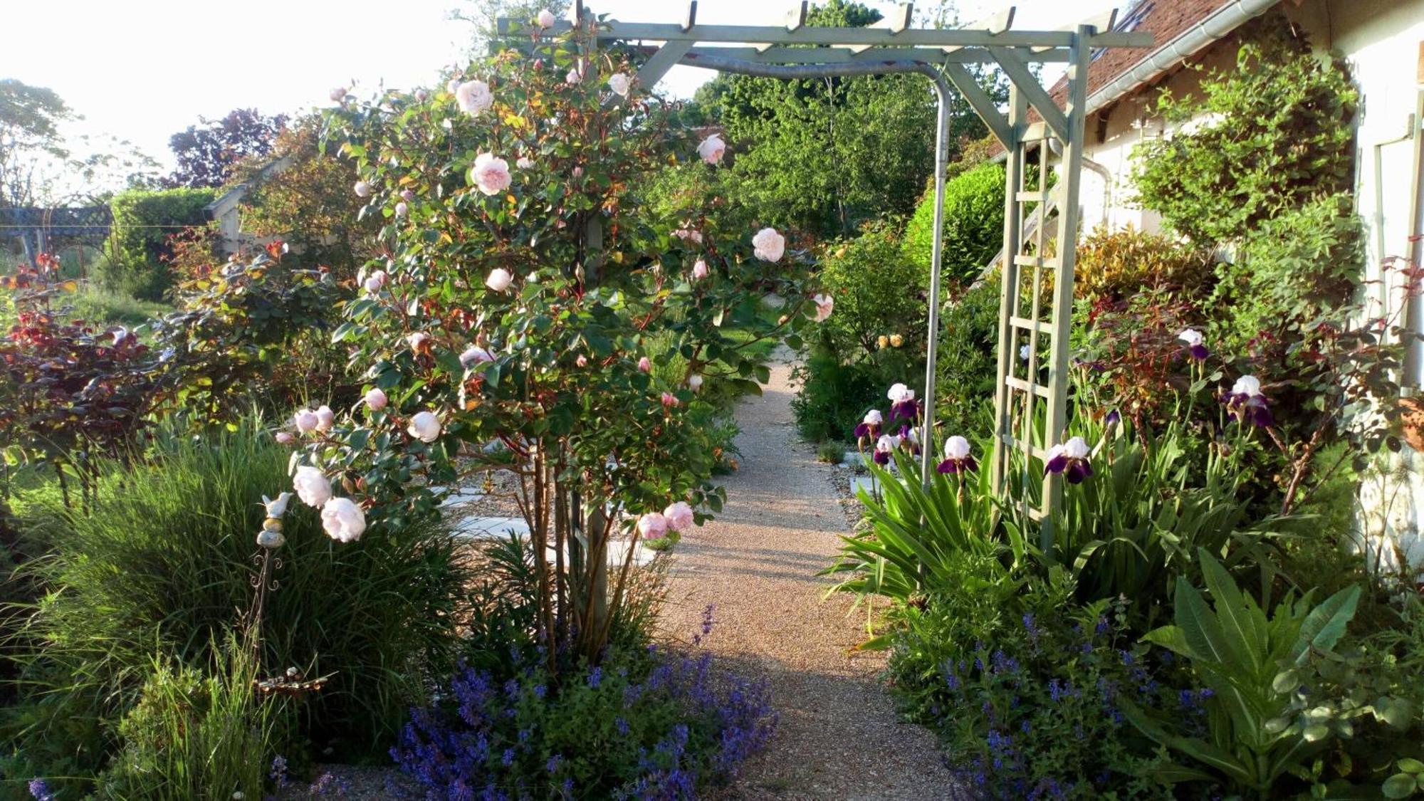 La Pause - Val De Loire Bed and Breakfast Chabris Rum bild